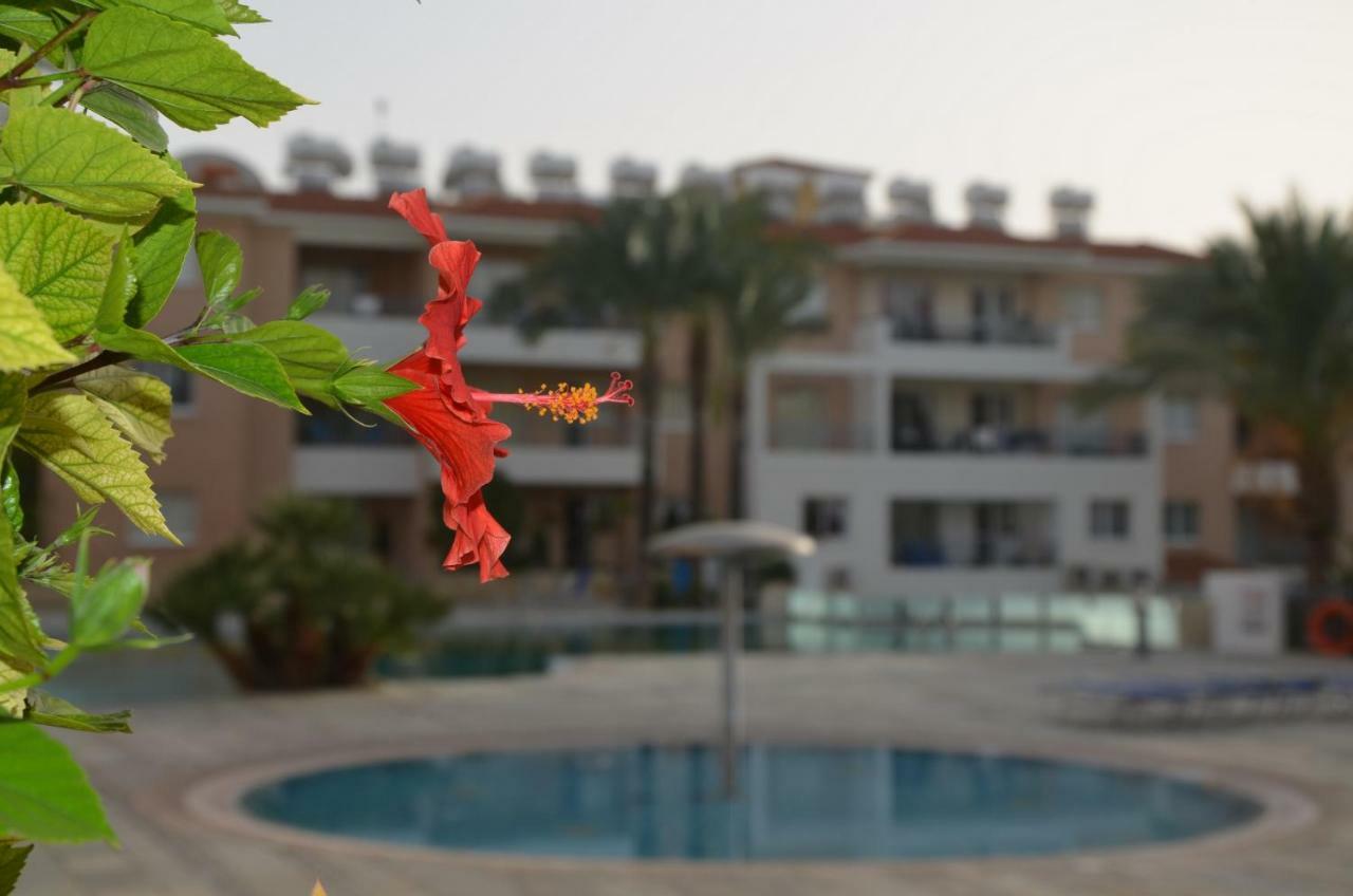 Iris Village Paphos ภายนอก รูปภาพ